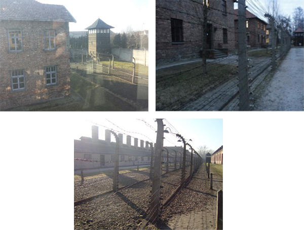 Auschwitz I, esterni